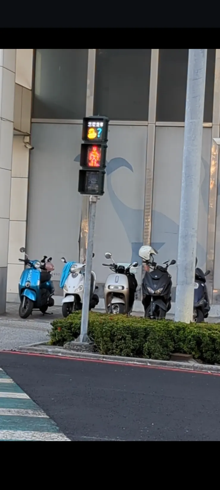 黃色小鴨號誌燈號