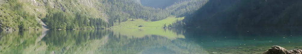 活動長來了的沙龍