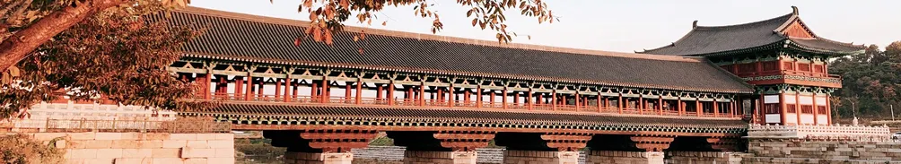 郁儒욱유的沙龍