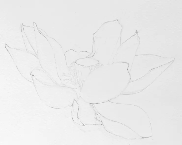 YH.CC@水彩練習 W70線稿