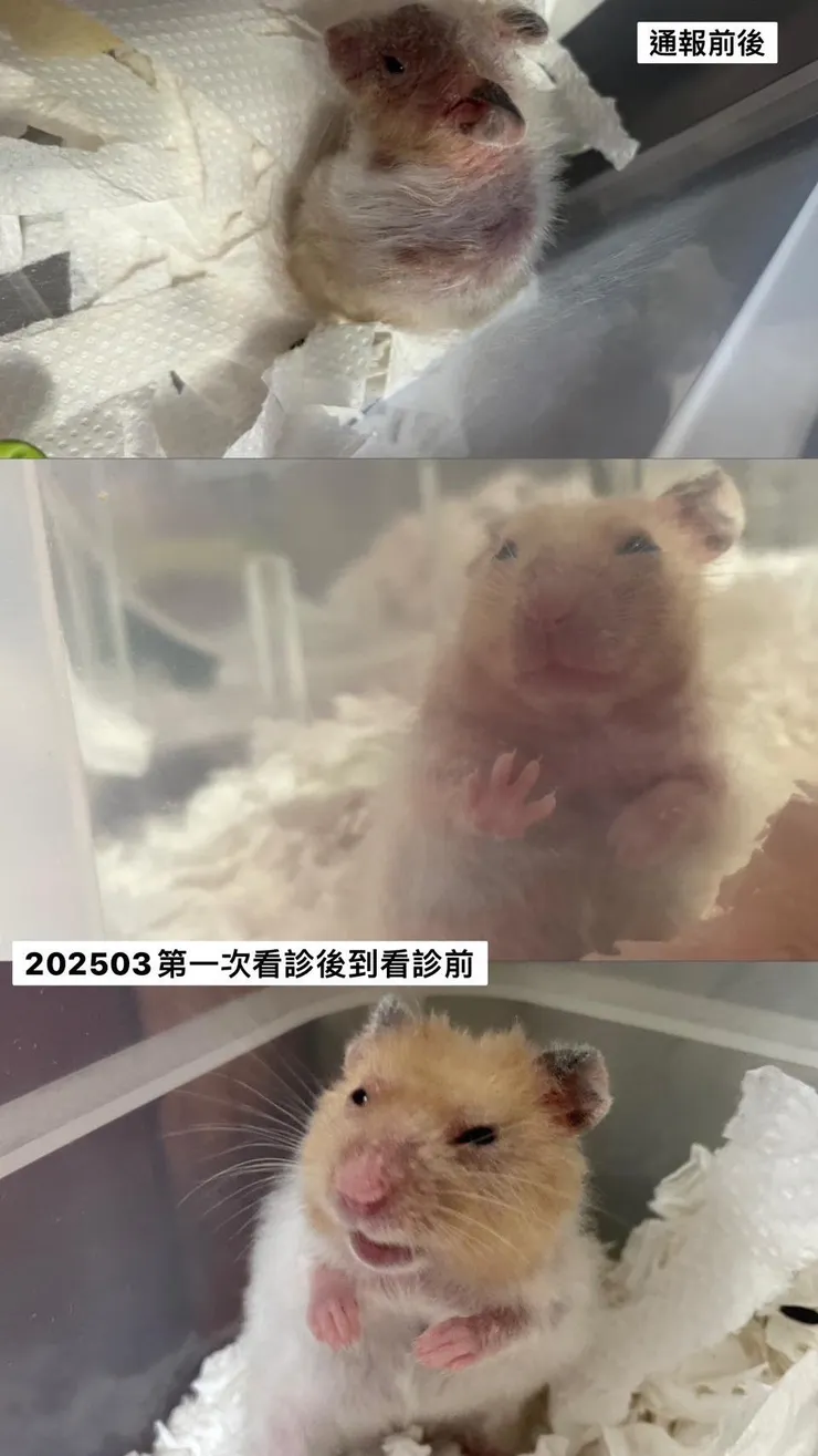 多比一開始很不信任人類