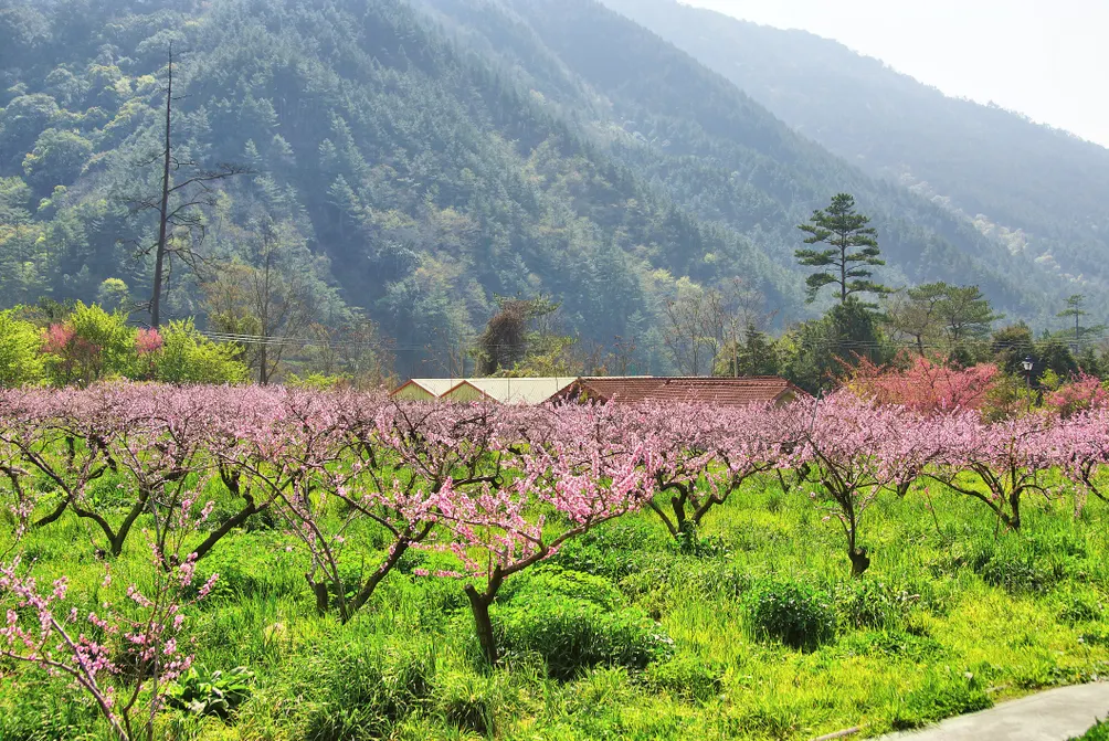 『Lizzy的探索之旅』