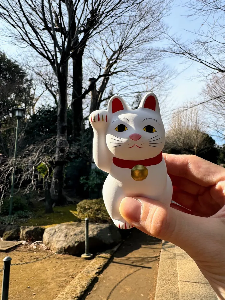 我買的三號尺寸招財貓🐈