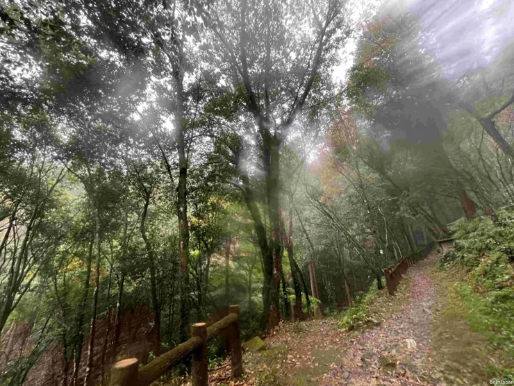 下著雨的燒山寺