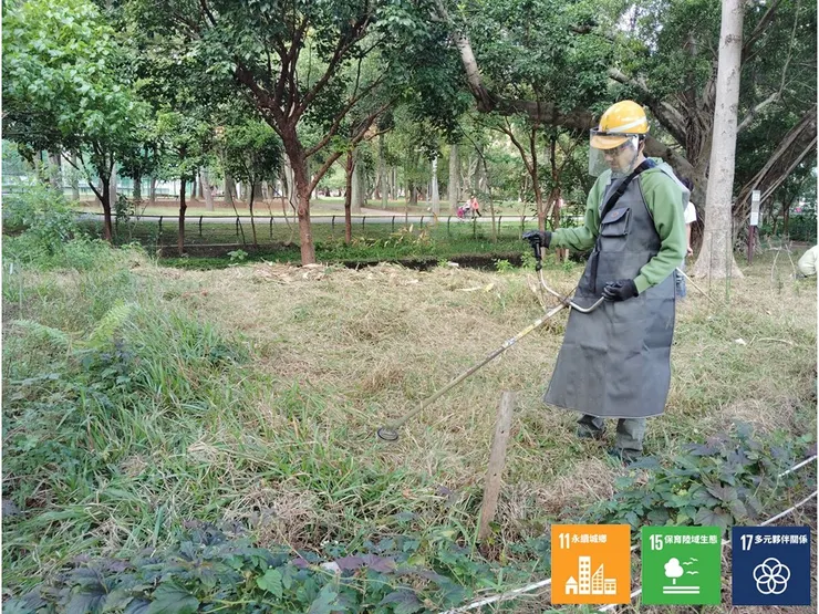 在A區內以機具刈整野草