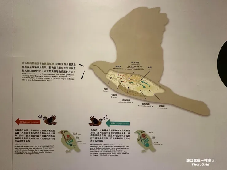 牆面的解說也非常清楚易懂。