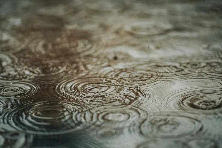 情緒湖面中，每一圈漣漪都像是那句卡在喉頭卻沒說出口的話。Photo by Jackie Best on Unsplash