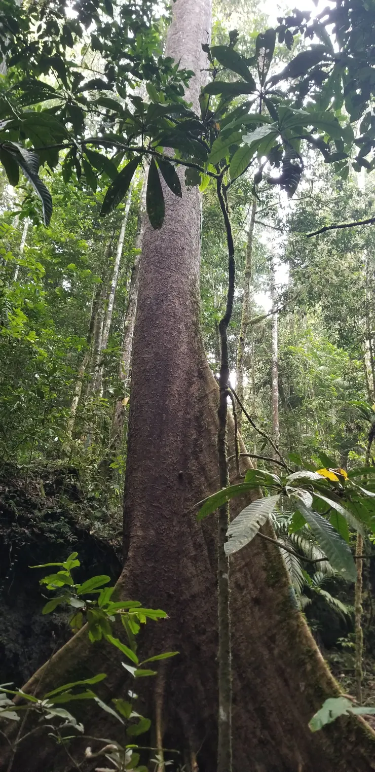 天光後慢慢欣賞沿途風景