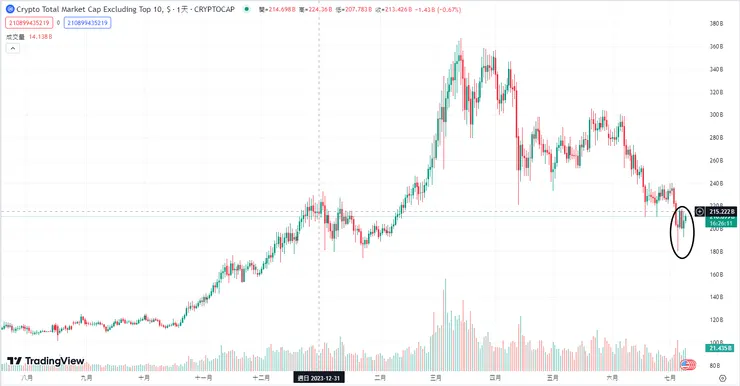 不包括前 10 名的加密貨幣總市值