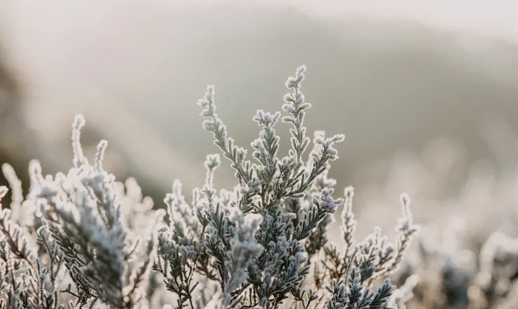寒冷中，我們依舊有選擇