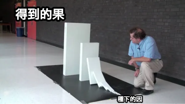 種什麼因，得什麼果