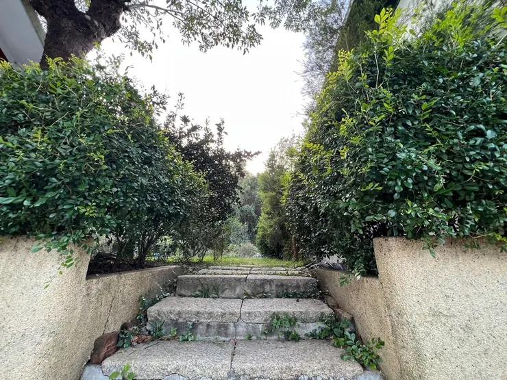 往營區農田的階梯