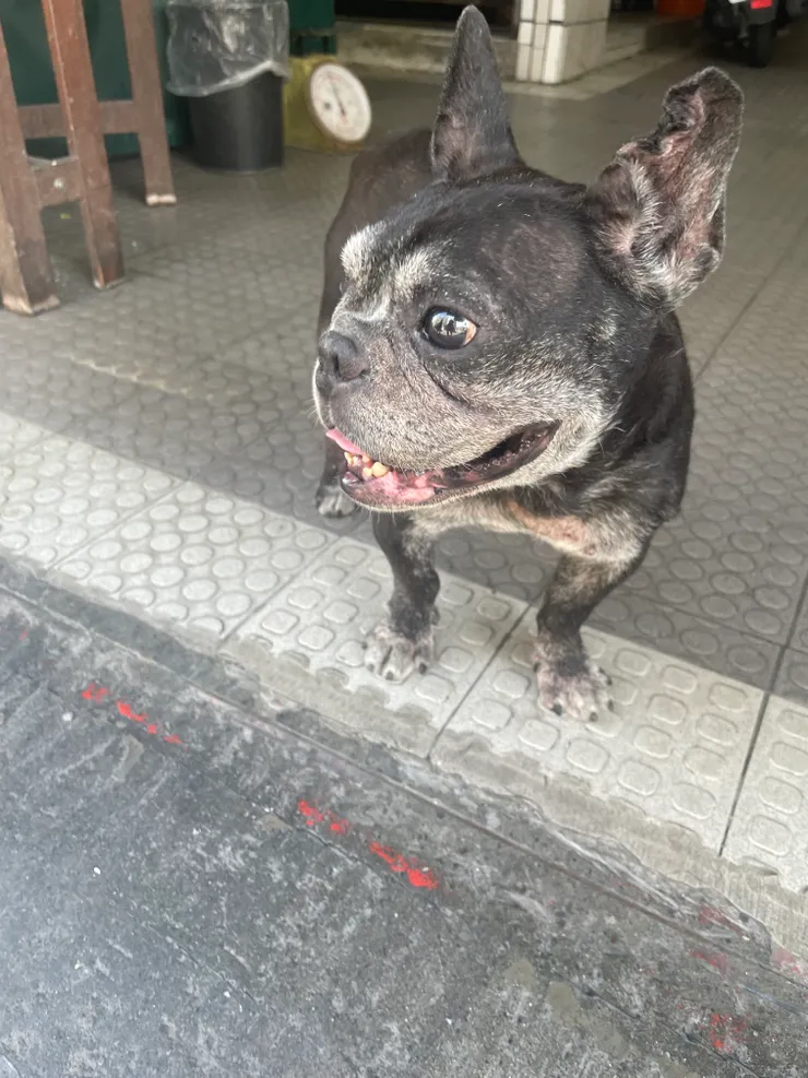 保持盼望(望向遠方)