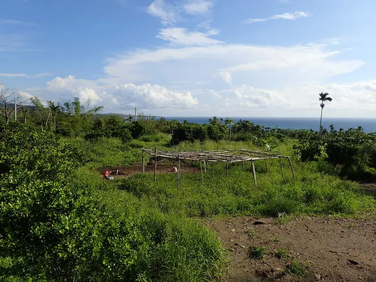 這塊農地有美麗的海景