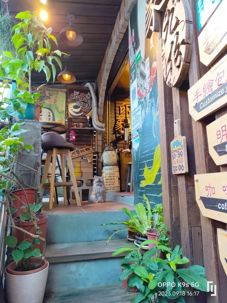 九份咖啡館的貓咪