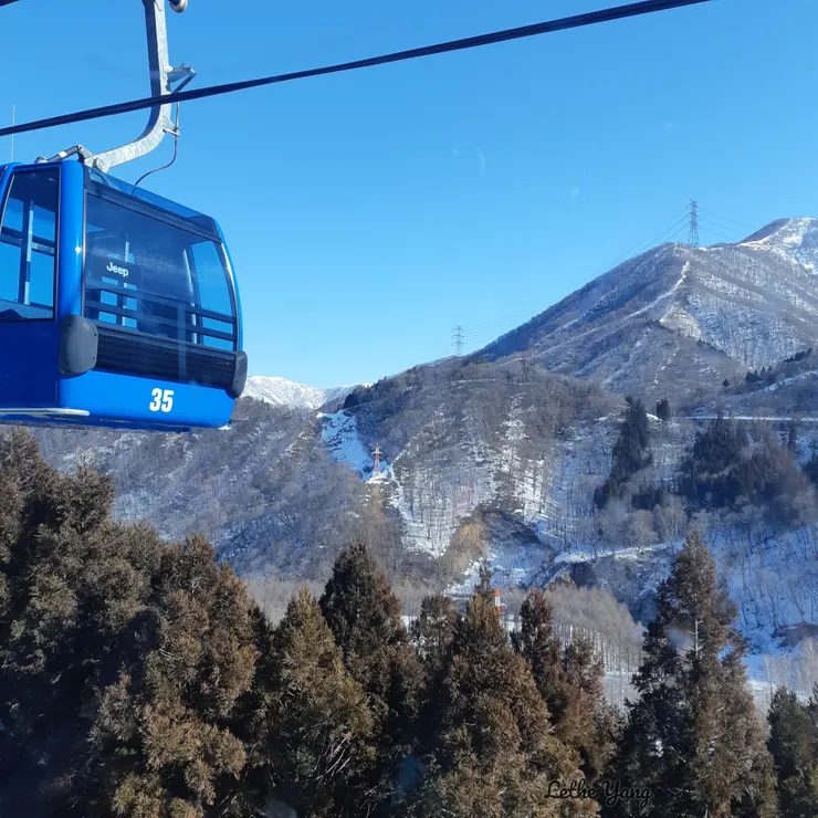 神樂滑雪場 龍纜車