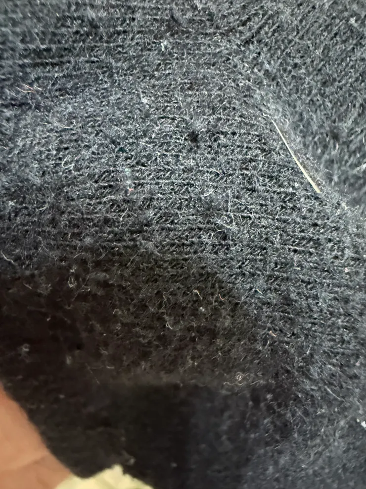 2025/11/27 早上出門穿襪子看到疑似圓圓毛