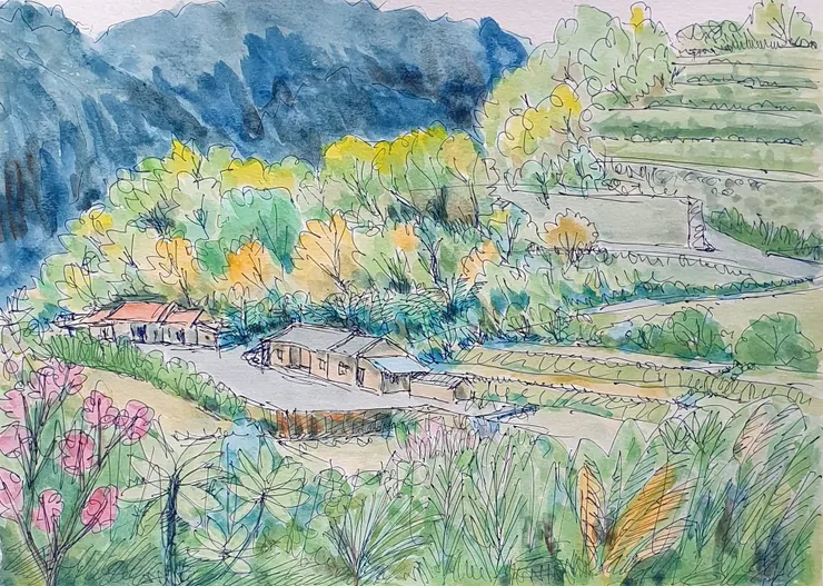 萬里香員林景色