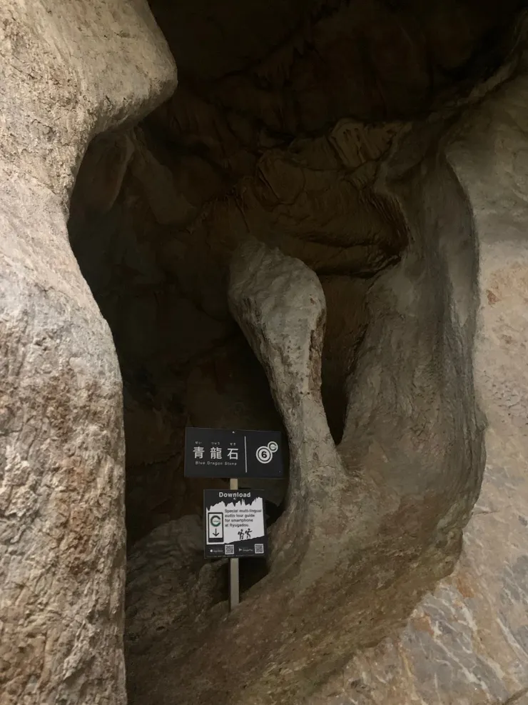 有龍嗎？我是沒看到，只有看到不少蝙蝠。哈哈～