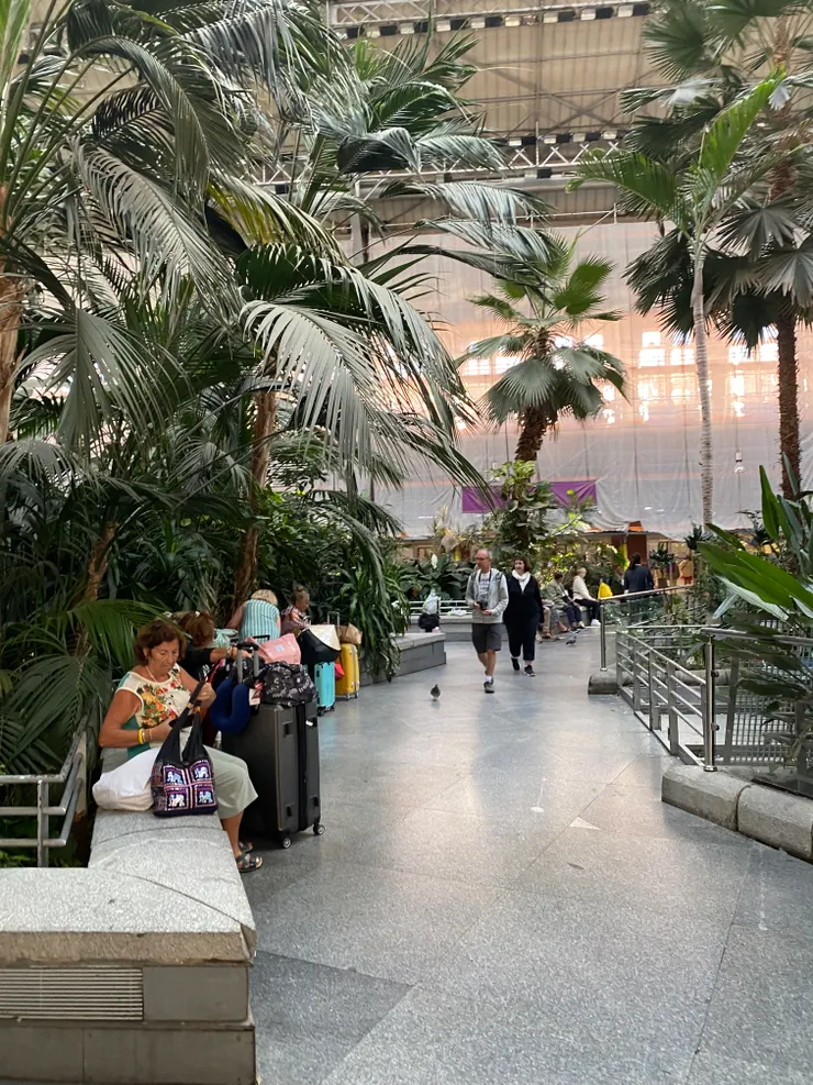 裡面鴿子超多的，感覺吃東西會被叼走