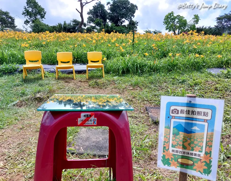 ▲2025花現台七「桃園繡球金針農遊趣」/ 圖片來源：Betty's Jump Diary