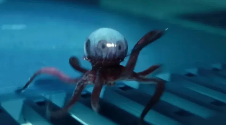 異形：地球 | 評價 7.7/10  | awwrated