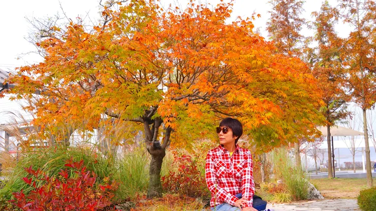 生態公園秋天景色