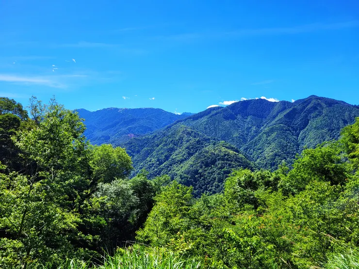 林道開闊處，可眺望大霸群峰稜線