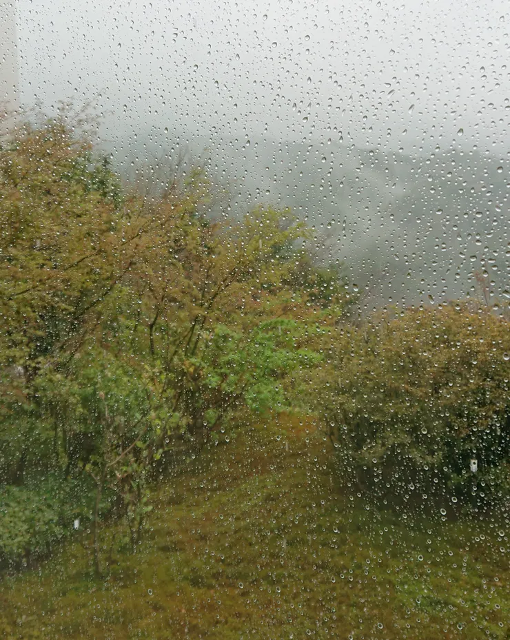 美秀美術館窗外風景