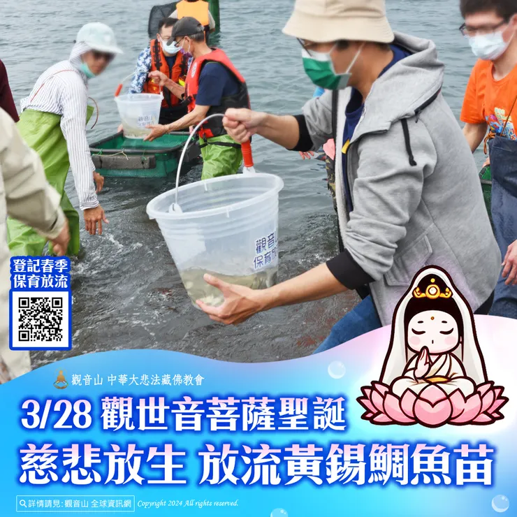 3月28日 觀世音菩薩聖誕慈悲放生 觀音山放流黃錫鯛魚苗