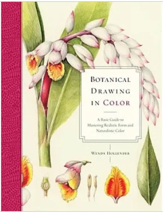 Books from Hollender, Wendy. 