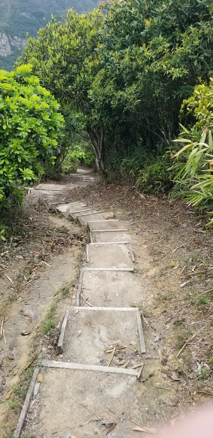 不同樣式的石梯