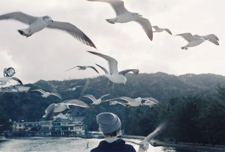 攝於京都天橋立