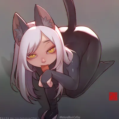 《國際黑貓日》