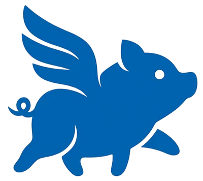 FlyPig 未來領航員