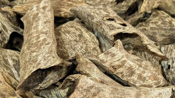 圖片來自Pinterest