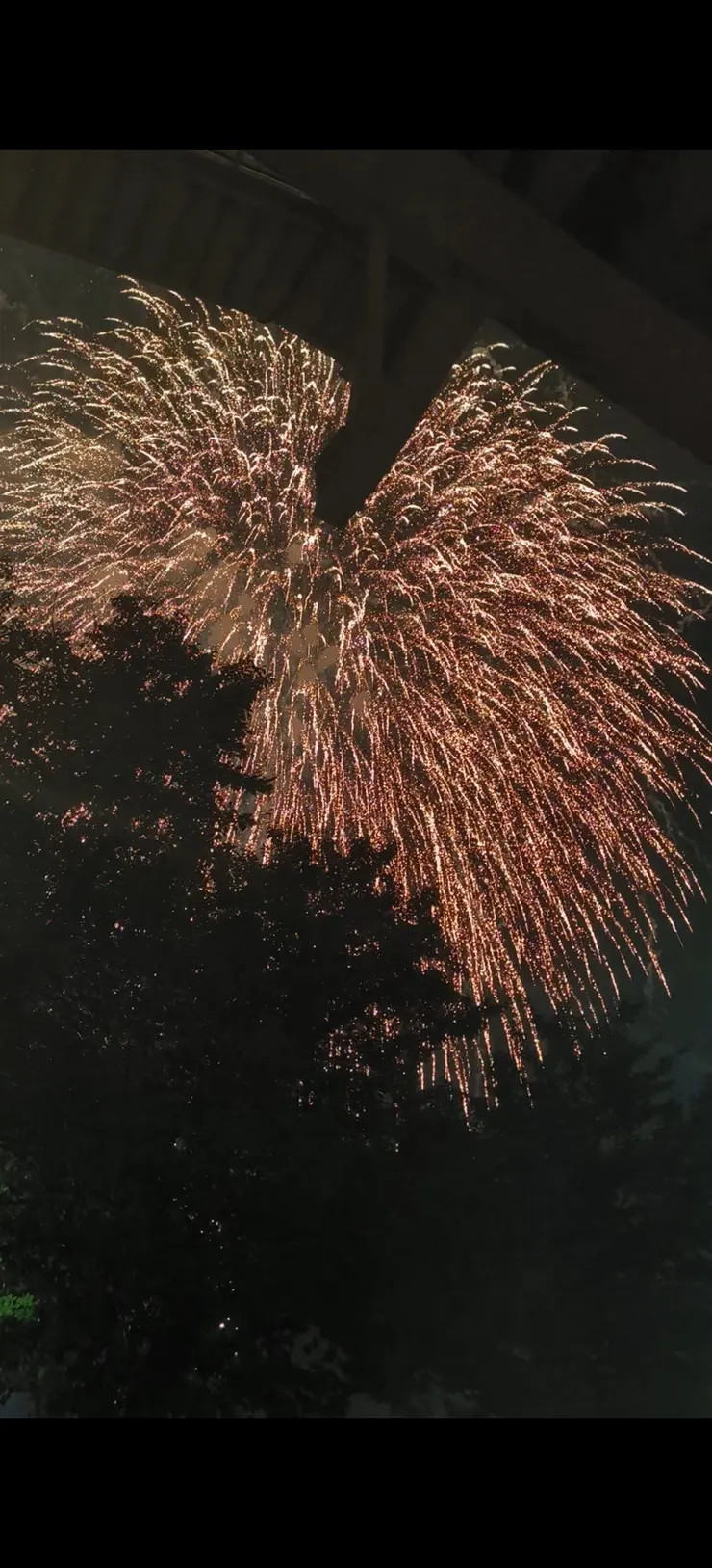 金光流瀉的煙火，最喜歡的一顆
