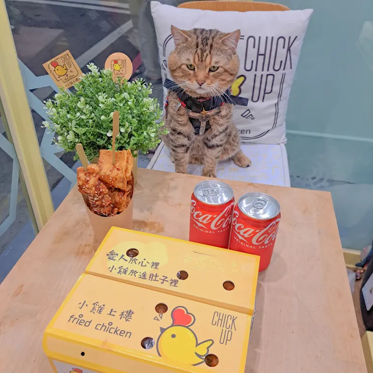 ❥小雞上樓 CHICK UP ɨɢ:@chickup.ll ✈13:00-21:00 ✃高雄市前金區成功一路268-2號