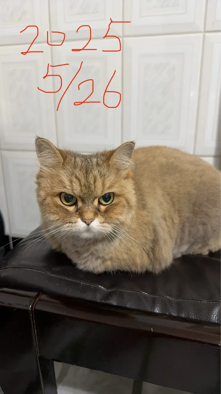 媽媽拍攝於 2025/5/26