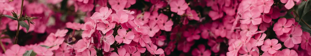 婚姻家庭律師❤法律補給站的沙龍