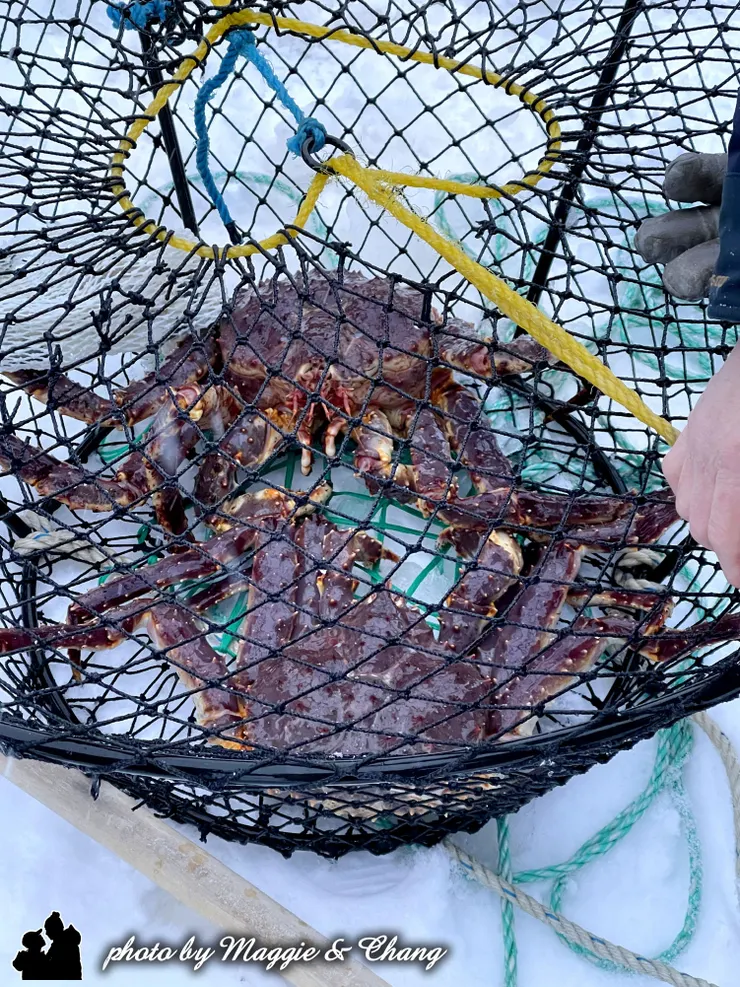 打開蓋子,徒手把垂在海裡的繩子緩緩拉起,一個裝滿帝王蟹的大籠子就這樣被拉起來了~