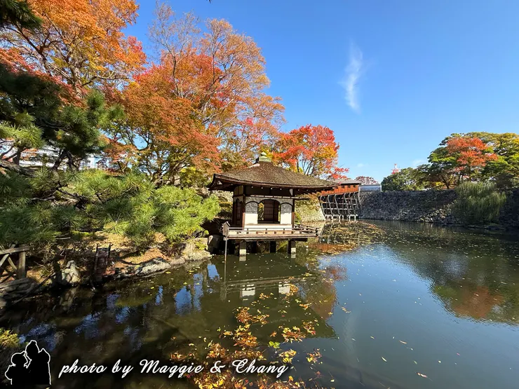 西之丸庭園(紅葉溪庭園)是江戶時代初期建造的大名庭園,採用池泉回遊式的設計為其特色,每年11月下旬至12月上旬,紅葉進入最佳觀賞期,池塘水面映照著楓葉,營造出夢幻般的景觀。