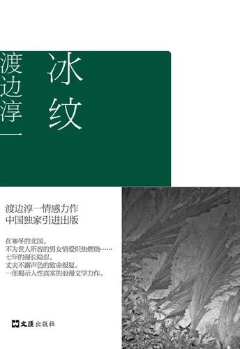 《冰紋》簡體中文版書封