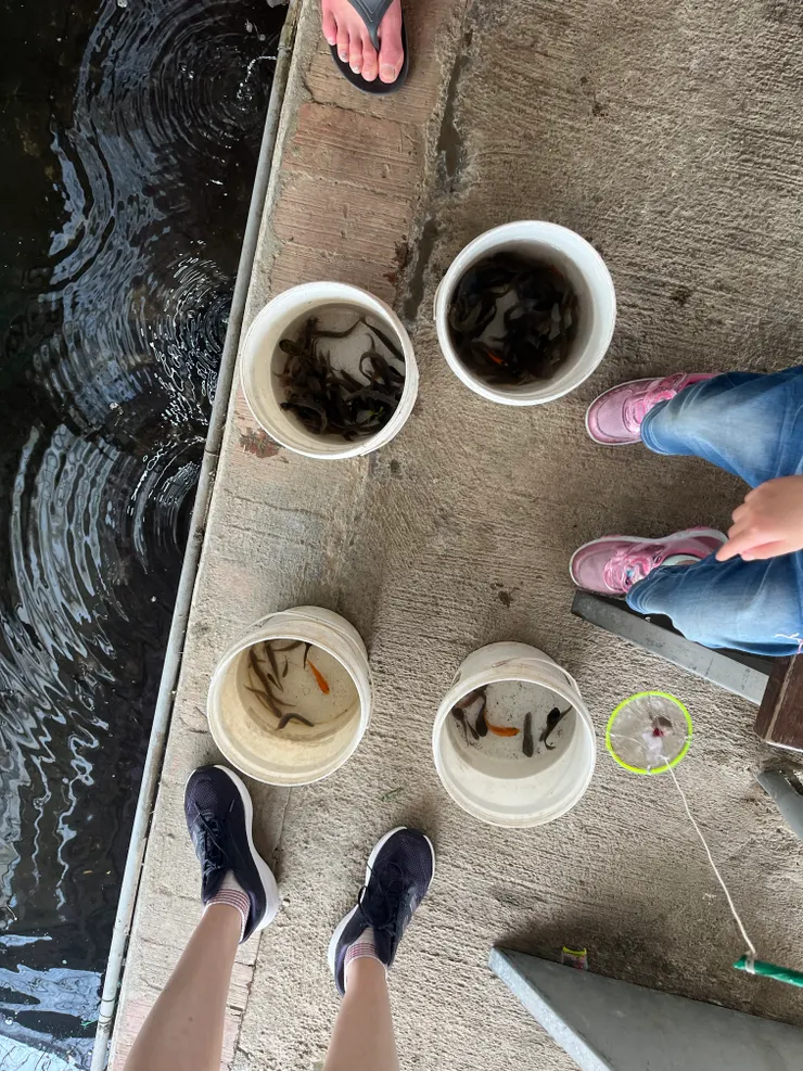 陽榮生態農場撈魚趣