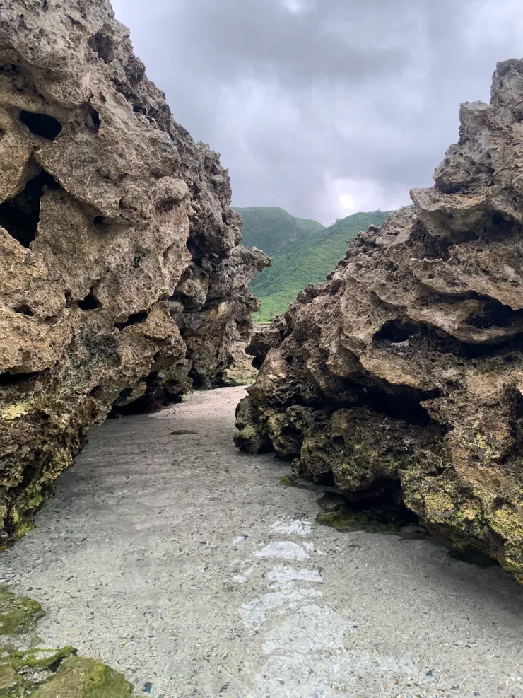 彷彿走在秘境一般，水冷冽而清澈可見底，三不五時還能看到魚兒游過