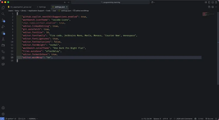 VS Code json setting.jpg