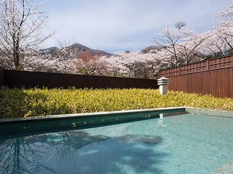 池子不多，但還是很有質感地讓人放鬆。圖皆取自官網