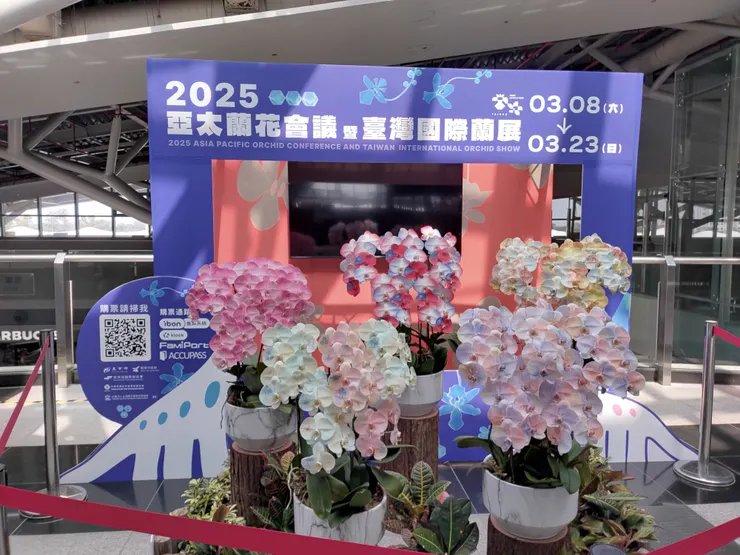 蘭花