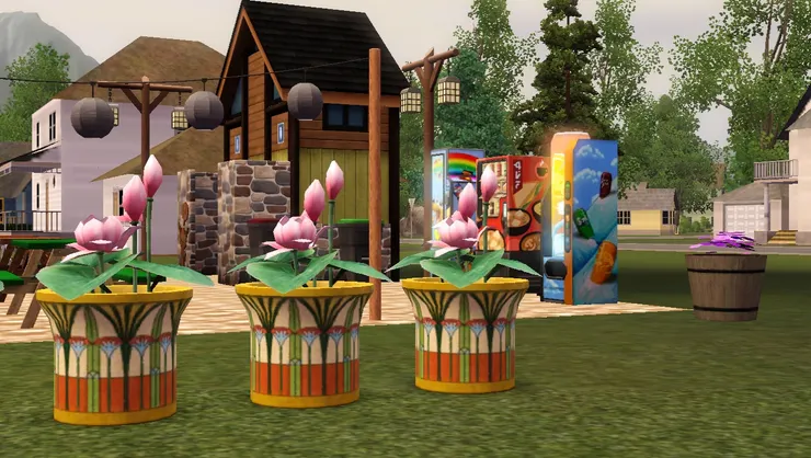 花缸對著另一個區域，好像能吃喝。