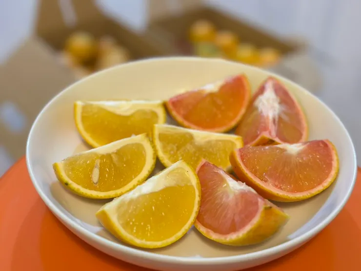 金柏橘園的柳丁有紅肉和黃肉兩種